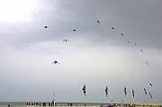 Cervia Cup - Euro Cup 2013 - 183
